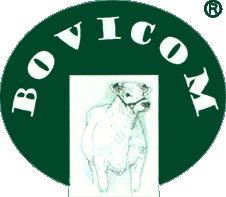 logo_bovicom.gif (9452 byte)